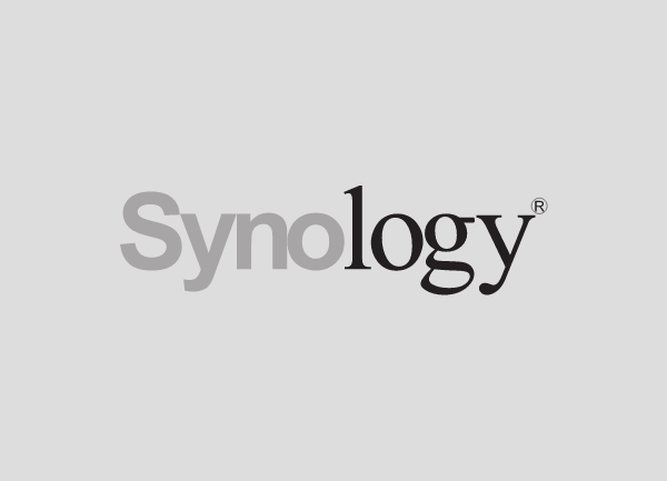 Synology RAID 1 Datenrettung