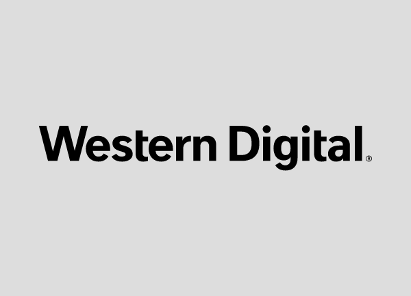 Western Digital RAID 1 Datenrettung