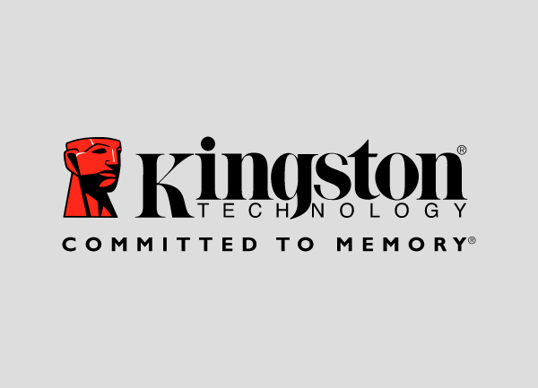 Kingston Datenrettung Konstanz