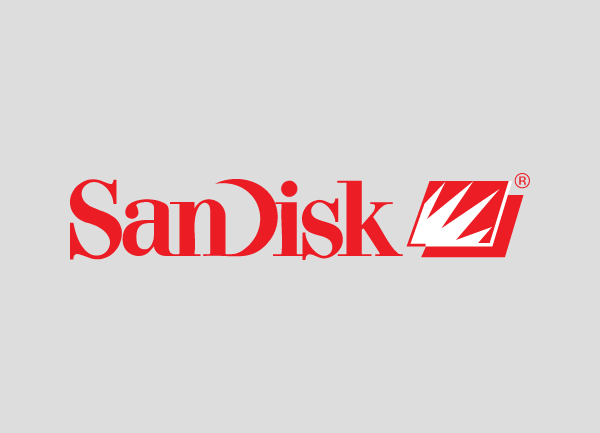 Sandisk RAID 1 Datenrettung